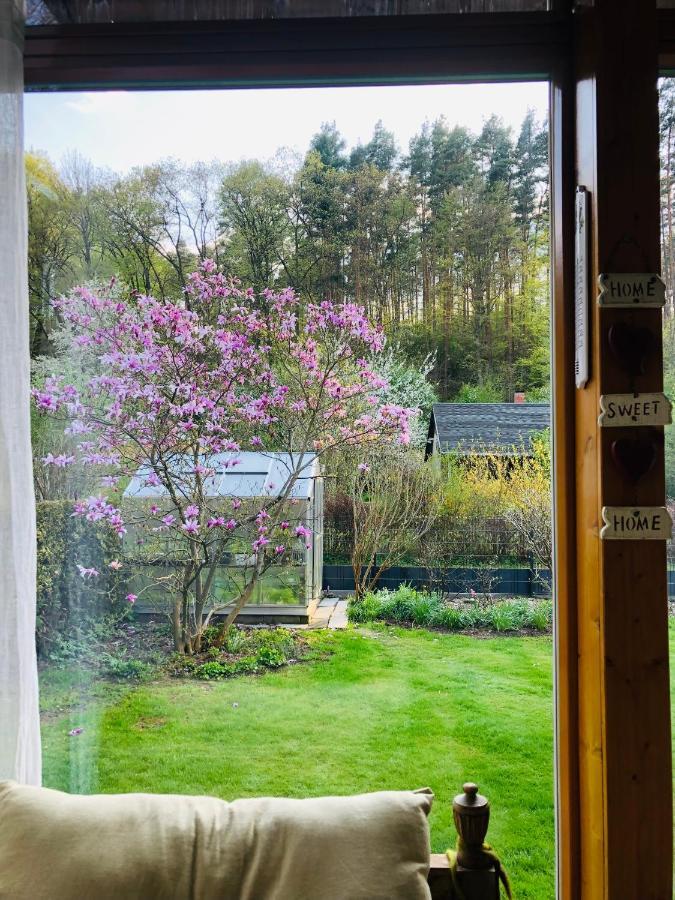 Villa Waldidyll Neuzelle Exterior foto